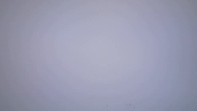 Бойные голуби КАЗАХСТАНА.Вот и зима пришла.Летаем в любую погоду. смотреть онлайн