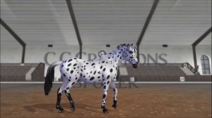 Новая лошадь -  АППАЛУЗА в Star Stable | Масти и анимация