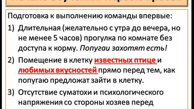Обучение попугаев команде "В клетку!". Часть 1. смотреть онлайн