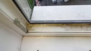 В ливень через окно протекает вода, что делать? #секретыоконщика