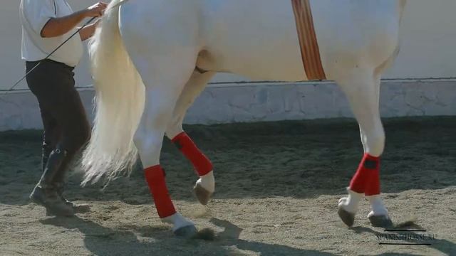 Пришло время предложить Вам стать партнёрами нашего проекта!) смотреть онлайн