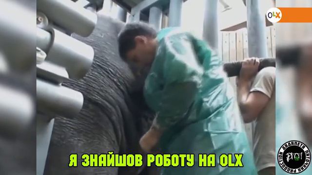 Работа на OLX смотреть онлайн
