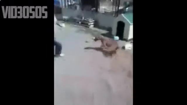 купить задний смотреть онлайн