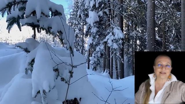 Повар, который играет на скрипке № 3969 смотреть онлайн