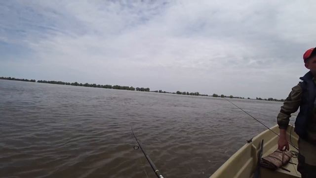 Нифига себе какие кабаны клюют здесь !!! Спиннинг в дугу !! Рыбалка на спиннинг в Астрахани.