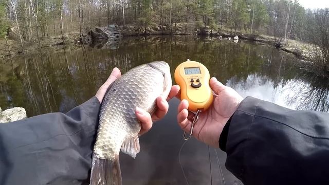 Рибалка на СЕКРЕТНУ СНАСТЬ. Ловля карася на кар‘єрі на спінінг смотреть онлайн