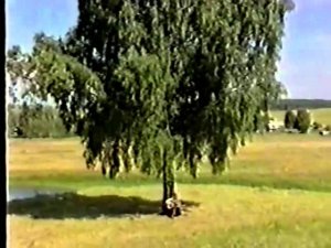 Олег Погудин "То не ветер ветку клонит"