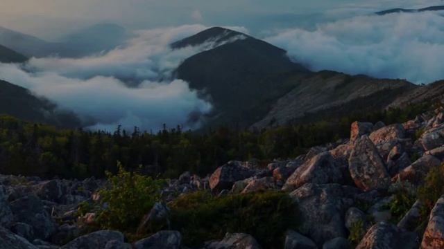 Уссурийская тайга Сихотэ Алинский хребет смотреть онлайн