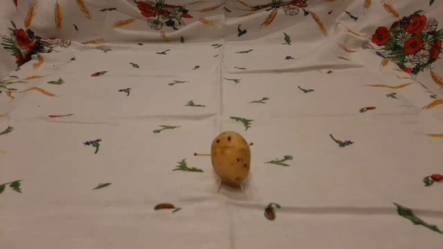 Мистер картошка. смотреть онлайн