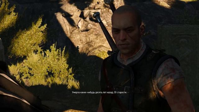 Ведьмак 3 Дикая Охота Прохождение НОВОЕ DLC Игры Кошек и Волков смотреть онлайн