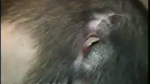 Кто же ты Фархат ата  Человек возвращающий жизнь  Farhat ata