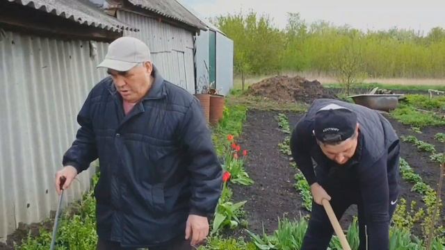 Сажаем деревья в саду с детьми. Посадка деревьев смотреть онлайн