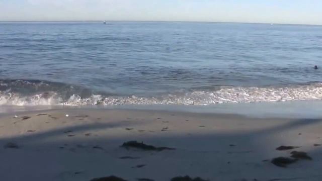 Отдыхай с Океаном! смотреть онлайн