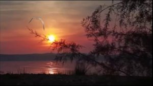 Николай Берег - Берег Счастья...