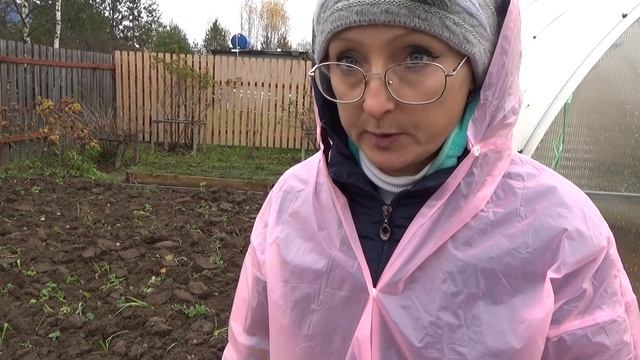 6 соток 22 октября. Как я известью землю раскисляла. Чеснок через 10 дней после посадки. смотреть онлайн