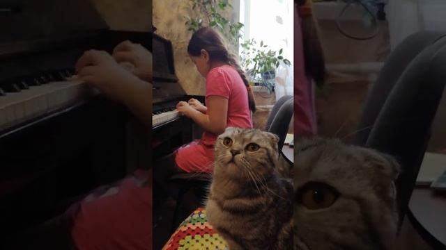 "Танец маленьких лебедей" играем с кошкой! смотреть онлайн