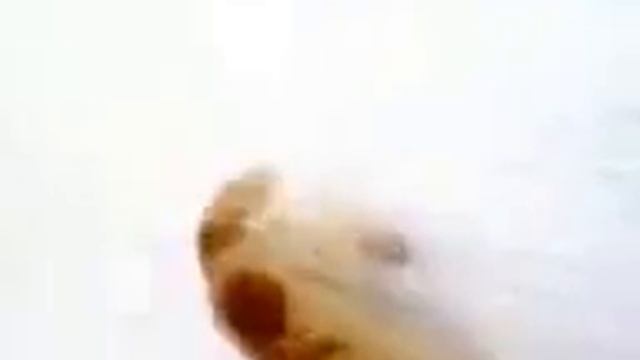 Барбоскин смотреть онлайн