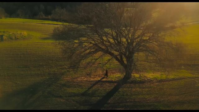 Foglie D’Autunno (Mare Fuori 4) - Matteo Paolillo Prod. Lolloflow