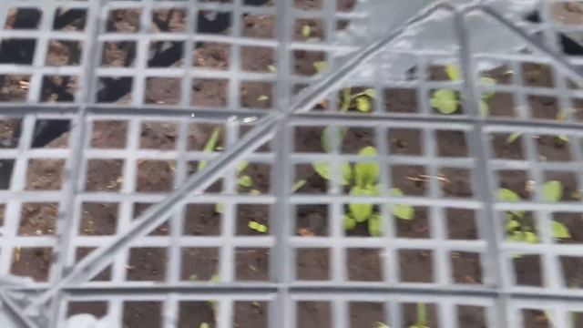 Славянск. 26 мая 2023г. Вечер. смотреть онлайн