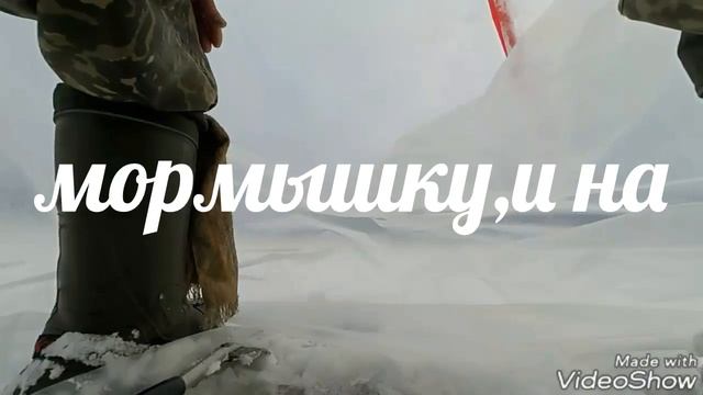 6.Побывайте со мной в стране-Рыбалка. ...а все поклевки я "усек" пальцем... ловля зимой на мотыля смотреть онлайн