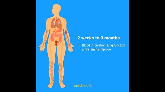 Ever wonder how our body reacts just after we quit smoking? - Credihealth смотреть онлайн