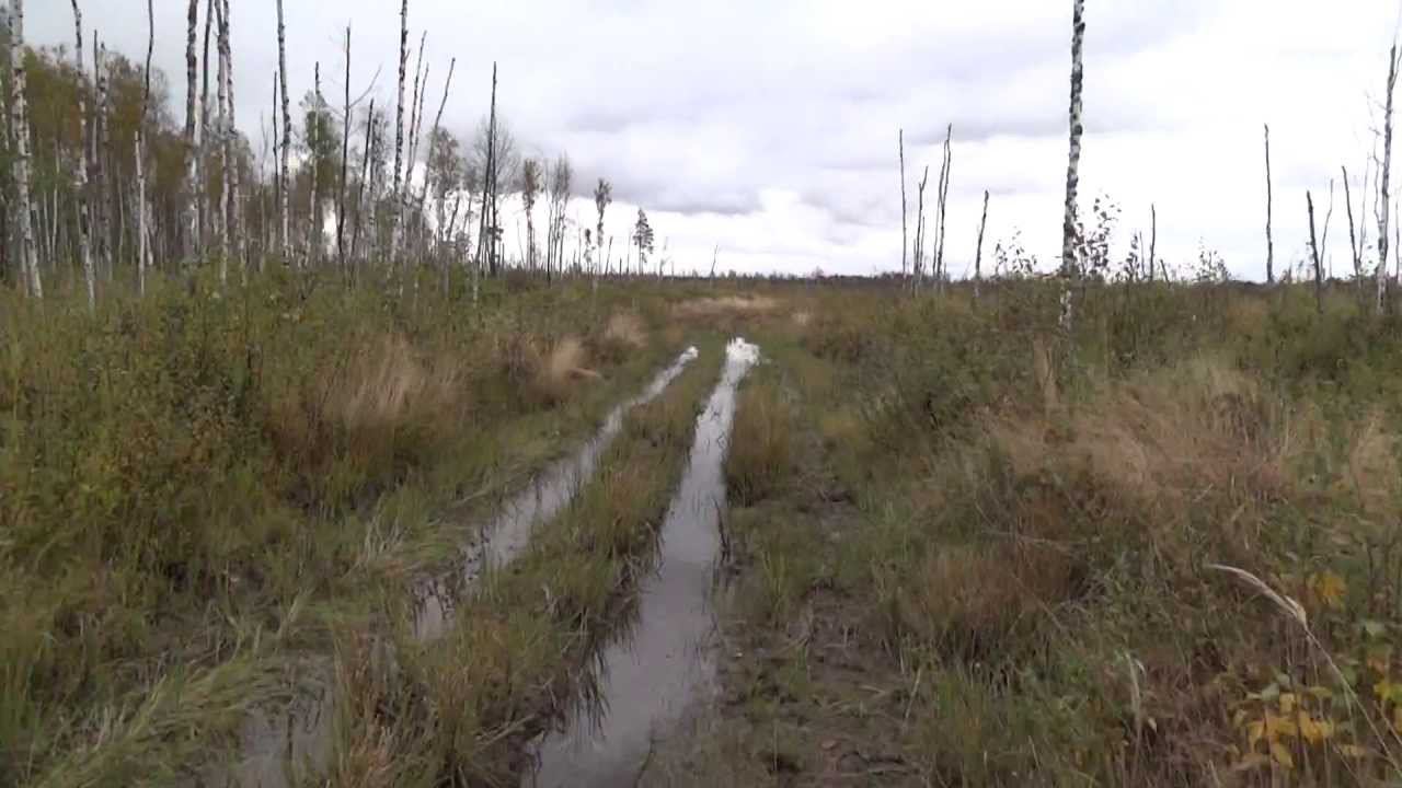 Yamaha Rhino Rybinsk в болоте!