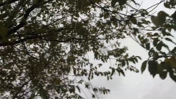 Что может быть лучше плохой погоды...!