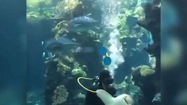 Немного нежности смотреть онлайн