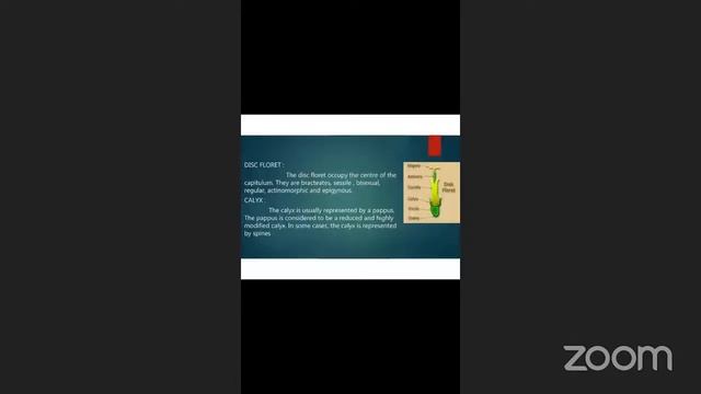 UG 3rd Semester Botany (English Medium) смотреть онлайн