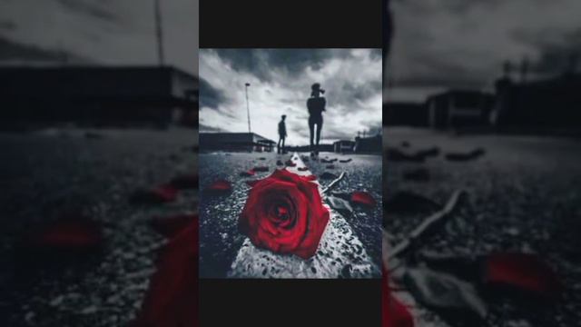 Песня, В камине в шесть утра.