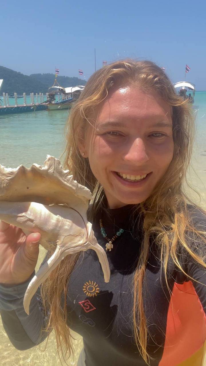 Кого можно встретить на отливе на пляже смотреть онлайн