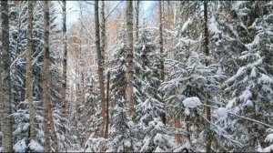 'Утро туманное, утро седое» Сл. И.С. Тургенев, Исп. Олег Погудин