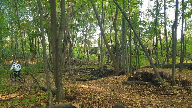 🌳 🚴♂🌲Горный велосипед. Канал г.Долгопрудный Моск. Обл. смотреть онлайн