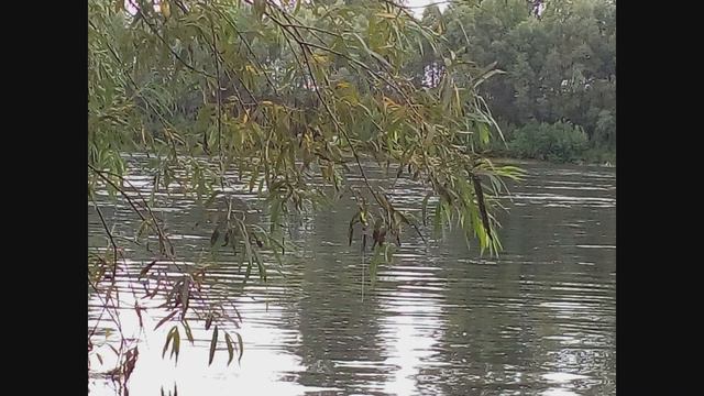 Поймать рыбу любой ценой!!! смотреть онлайн