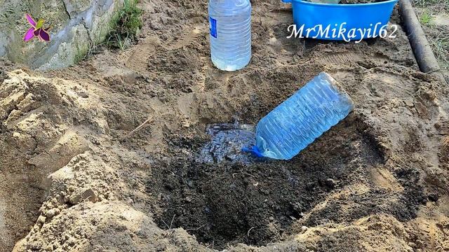Переселение на "ПМЖ" - "Опунция-Путешественница". 30.10.22. Дача - Горадиль смотреть онлайн