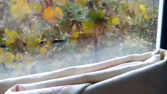 Я одна дома и мне скучно . смотреть онлайн
