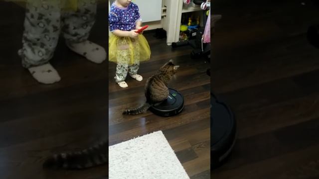 Кошка и робот пылесос | Робот пылесос | Cat vs Robot Vacuum смотреть онлайн