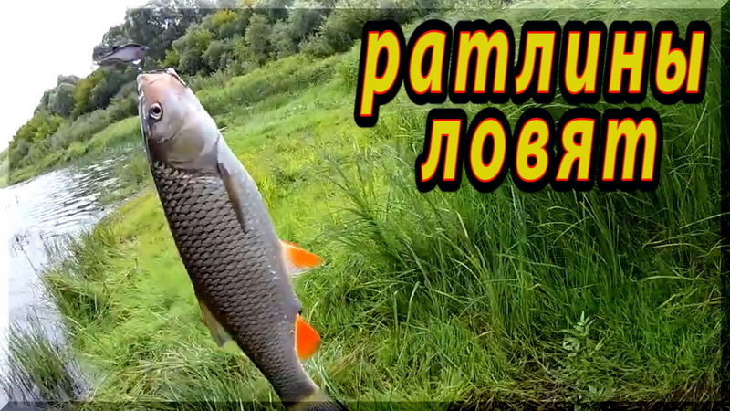 Не зря спас MV-1 Vibration. ГОЛАВЛЬ в награду. Рыбалка на спиннинг. смотреть онлайн