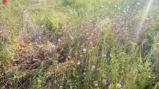 Заготовка сена на зиму,для кроликов смотреть онлайн