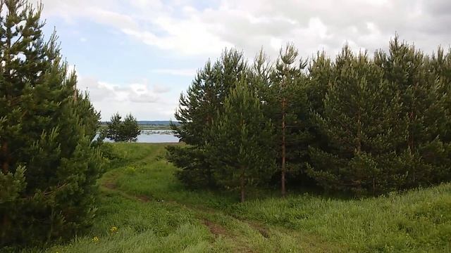 Красивая опушка леса на озере Яушильды. Башкирия