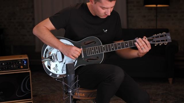 RRG30E-DD, Resonator Guitar - Americana Series, Parlor Size, Aluminum Cone смотреть онлайн