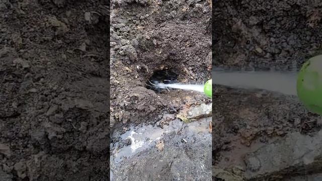 Как быстро прогнать крота смотреть онлайн