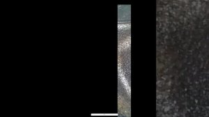 Volkswagen Tiguan 2.0  tsi Троит не стабильно работает ??♂️ Диагностика ?  все запущено