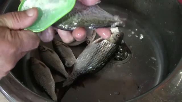 Рыбочистка. Нож для очистки рыбы (рыбьей чешуи) с контейнером и складным ножом. смотреть онлайн