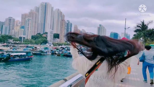 AP LIE CHAU HONG KONG смотреть онлайн
