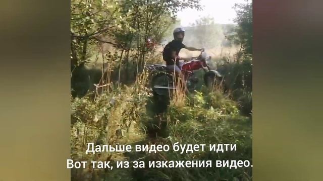 Покатушки по лесу на альфе. AMS смотреть онлайн