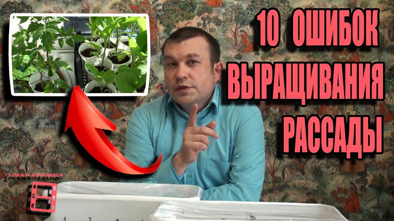 10 ГЛАВНЫХ ОШИБОК ПРИ ВЫРАЩИВАНИИ РАССАДЫ. САД (ОГОРОД) И ТЕПЛИЦА. САДОВОДСТВО смотреть онлайн