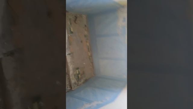 Мичуринский клуб смотреть онлайн