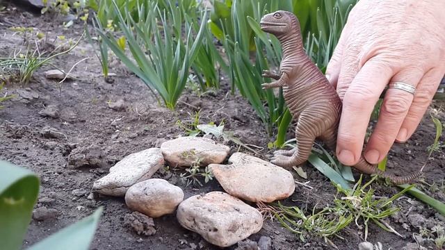 Динозавры.Динозавры забрали яйцо у тираннозавра Рекса,но потом решили вернуть. смотреть онлайн