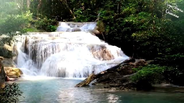 шум водопада и чериканье птиц#медитация #музыкадлямедитаций смотреть онлайн